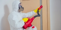 Exterminateur punaise de lit Montigny-lès-Cormeilles 95370 – Société spécialisée dans le Val-d’Oise
